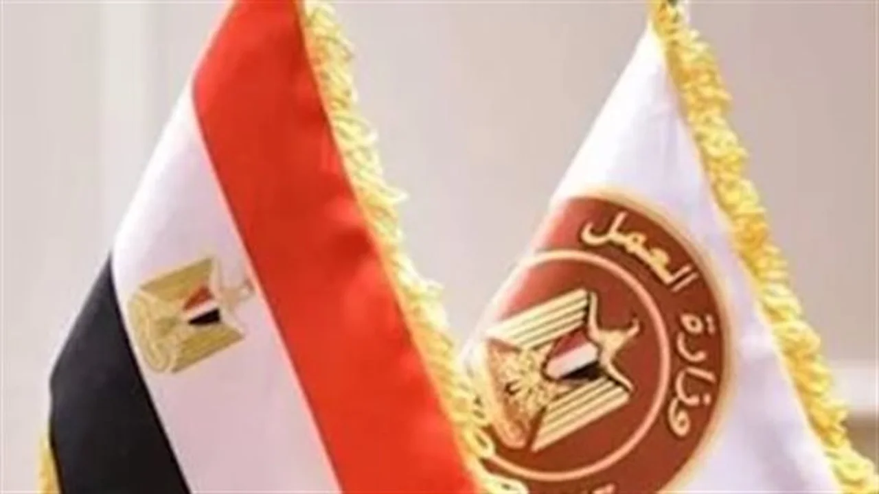 فرص عمل متنوعة.. وزارة العمل تفتح باب التوظيف بخمس مناطق للمغتربين